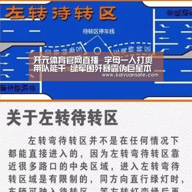 开元体育官网直播-字母一人打爽带队能干 绿军围歼暴露伪巨星本性(图3) 开元体育官方下载