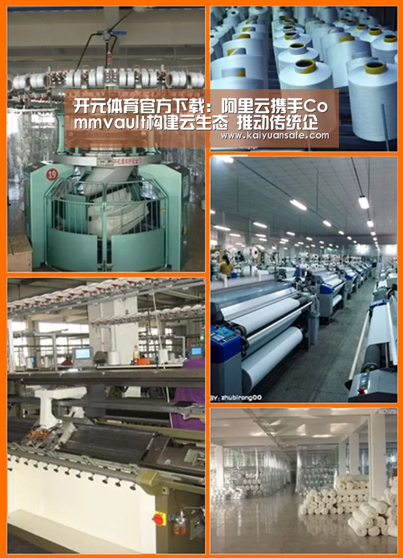 开元体育官方下载:阿里云携手Commvault构建云生态 推动传统企业数字化到智能化的转型升级(图2) 开元体育官方下载