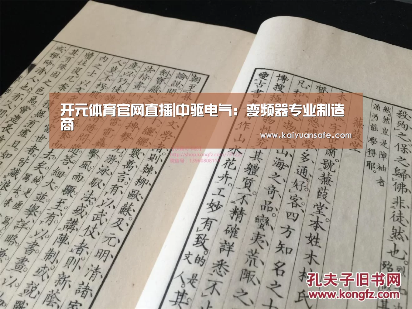 开元体育官网直播|中驱电气:变频器专业制造商(图1) 开元体育官网