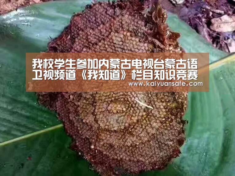 我校学生参加内蒙古电视台蒙古语卫视频道《我知道》栏目知识竞赛‘开元体育官网’(图3) 开元体育官方下载