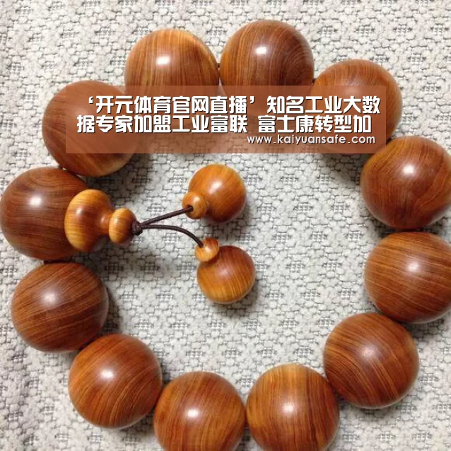 ‘开元体育官网直播’知名工业大数据专家加盟工业富联 富士康转型加速(图2) 开元体育官网