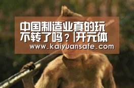 中国制造业真的玩不转了吗?|开元体育官网(图1) 开元体育官网