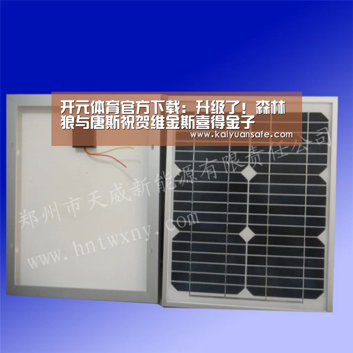 开元体育官方下载:升级了!森林狼与唐斯祝贺维金斯喜得金子(图2) 开元体育官网直播